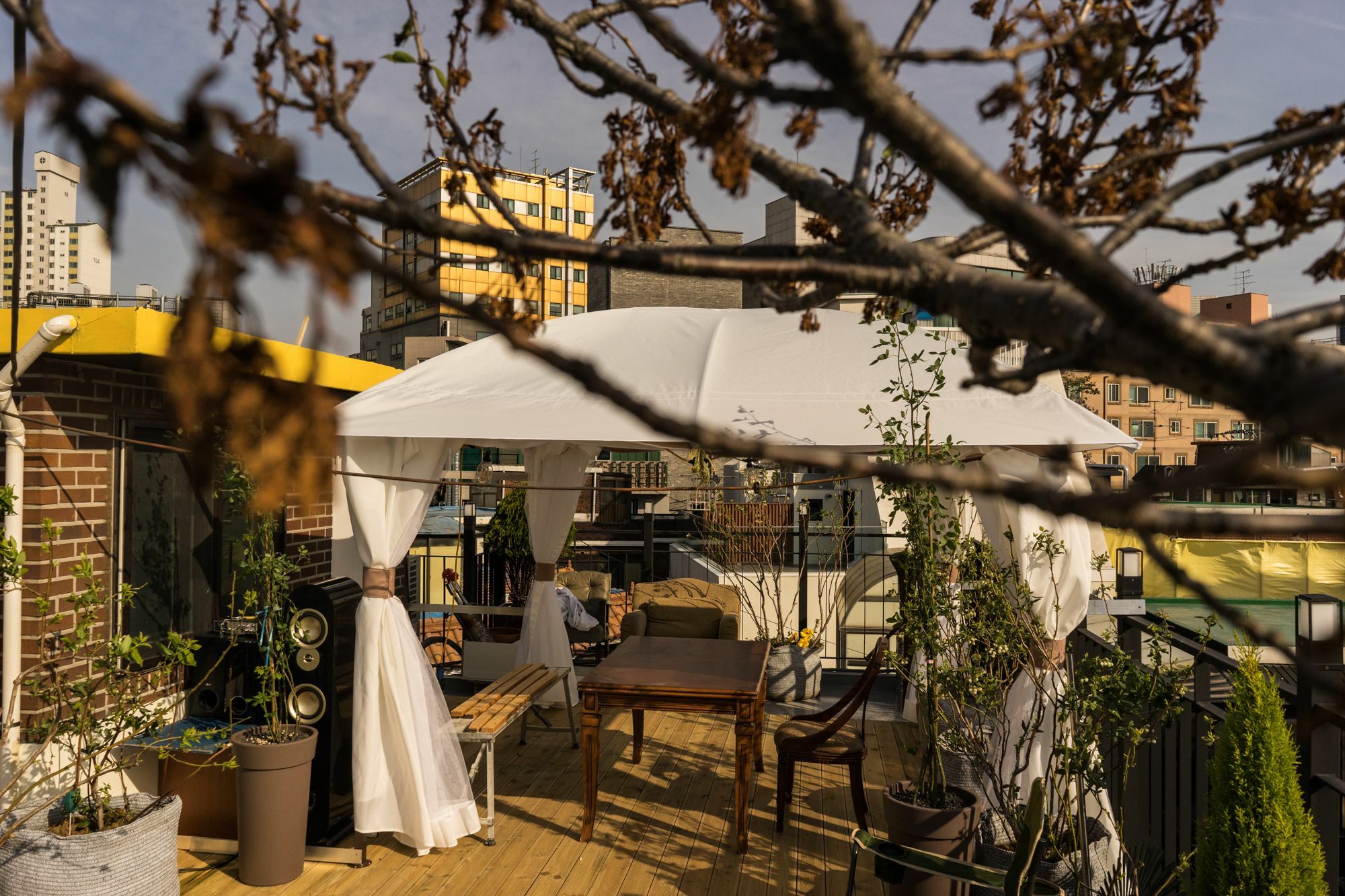 Tetto House Rooftop Garden Seoul Ngoại thất bức ảnh